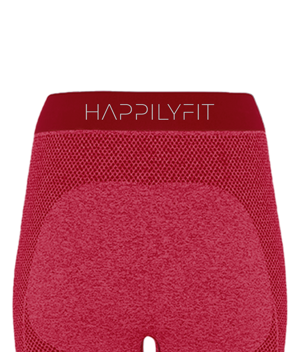 SeamlessSculpt Leggings - HappilyFit Ltd